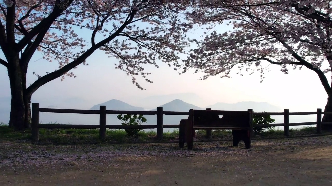 香川县三代市守德山的樱花和濑户内海视频素材