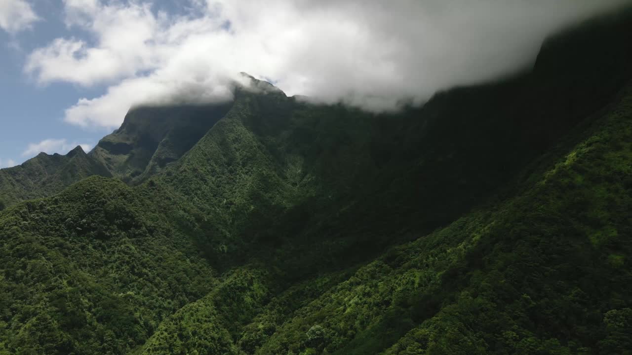 无人机全景视频的夏威夷常绿雨林，空中拍摄从毛伊岛，夏威夷，美国视频素材