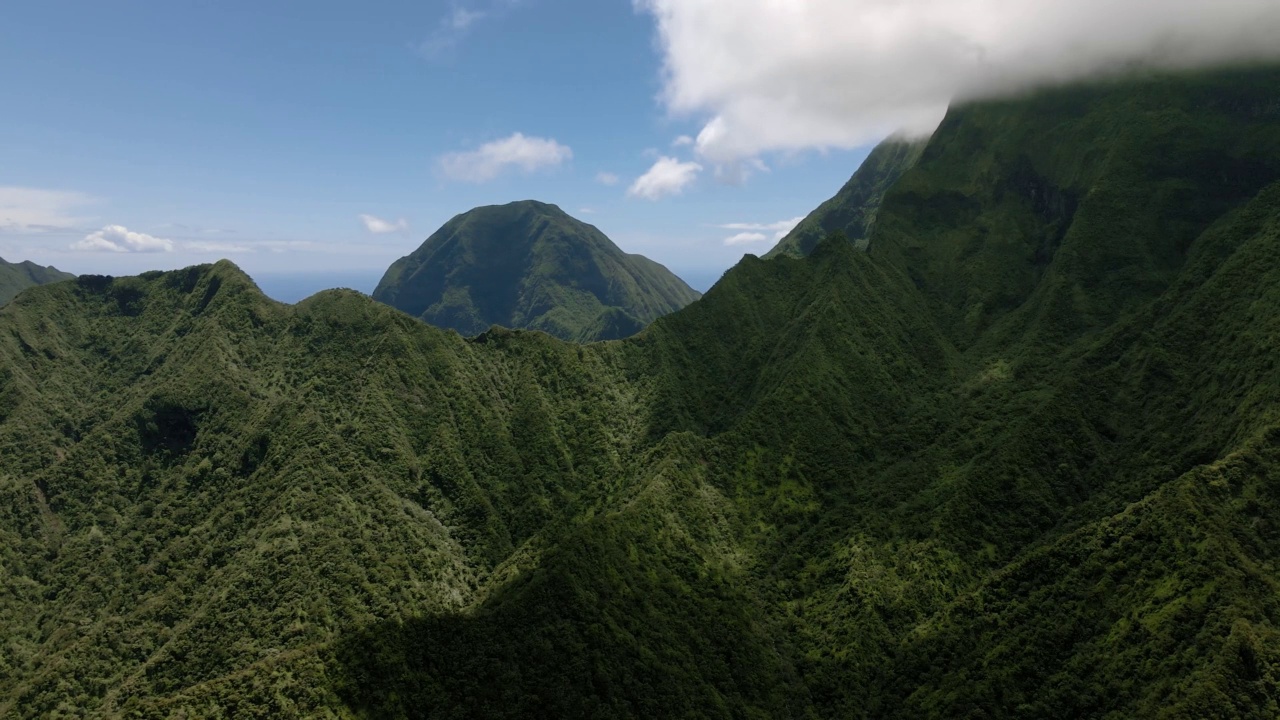 无人机拍摄毛伊岛高地，空中拍摄覆盖着浓密热带雨林的山脉，夏威夷，美国视频素材