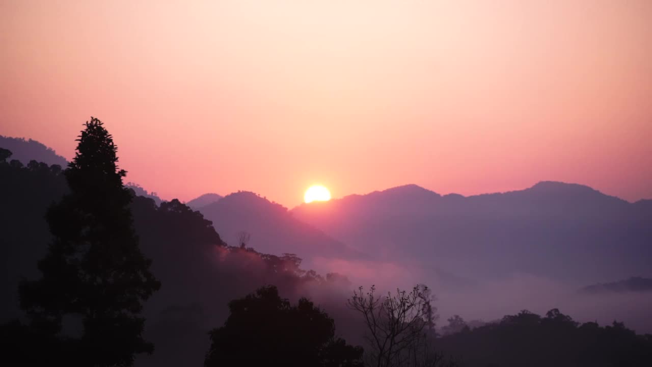 雾海彩色日出在Hala Bala野生动物Waeng泰国。被太阳照亮的雾视频素材