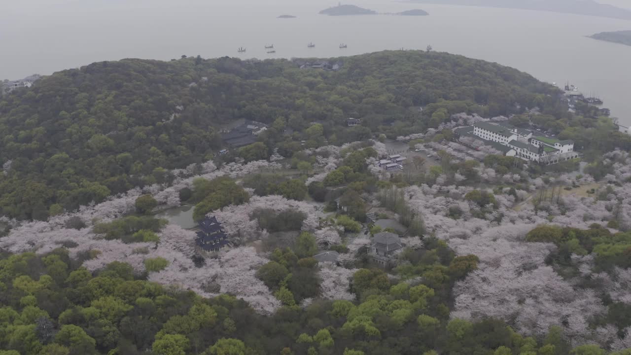 春季山景观视频素材