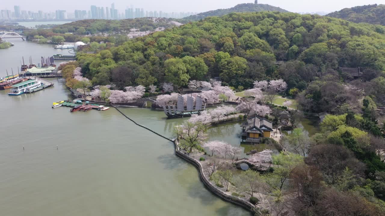 春季山景观视频素材