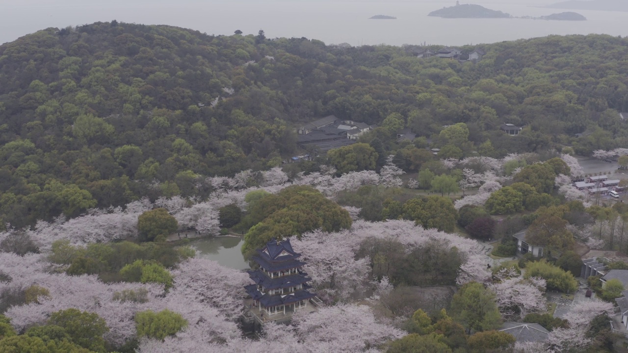 春季山景观视频素材