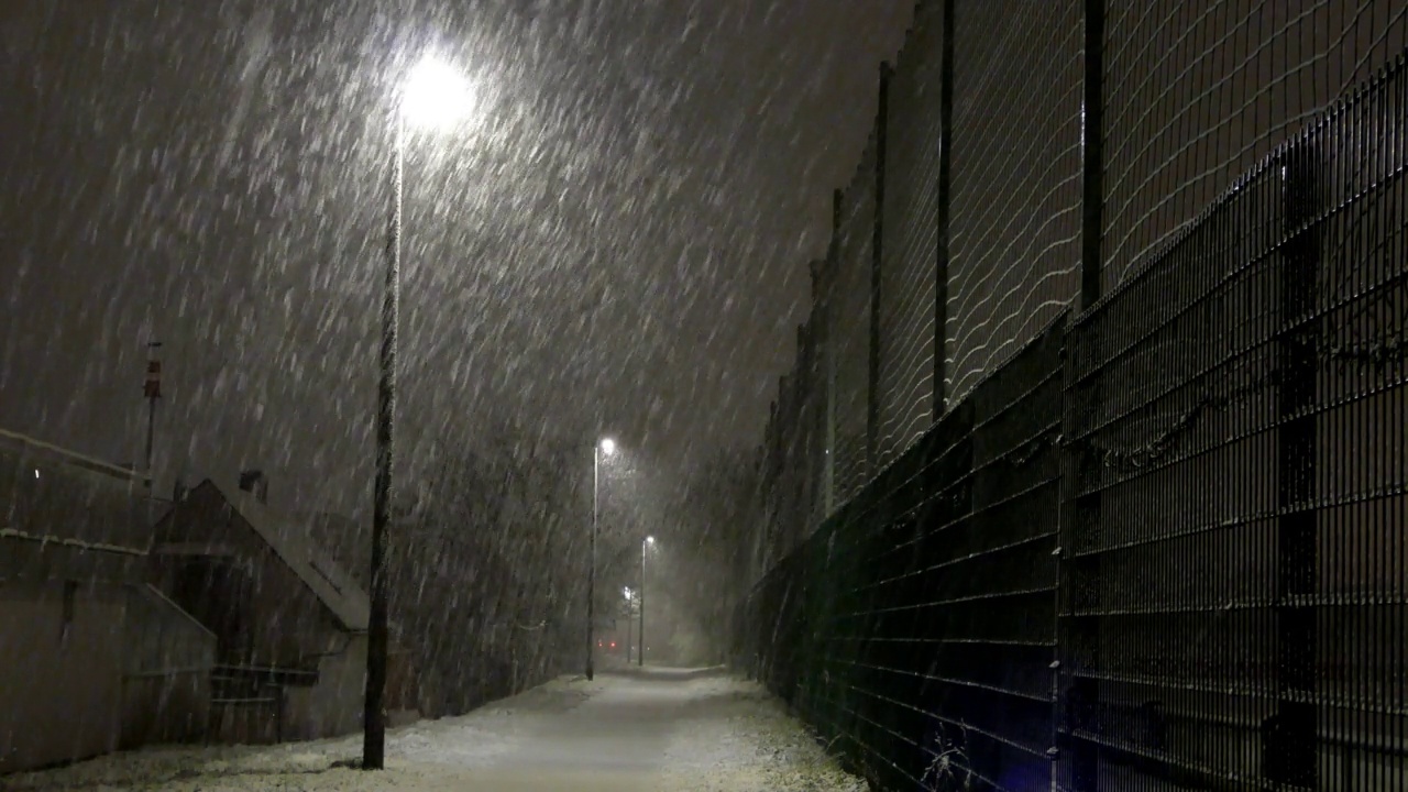 晚上的大雪视频素材