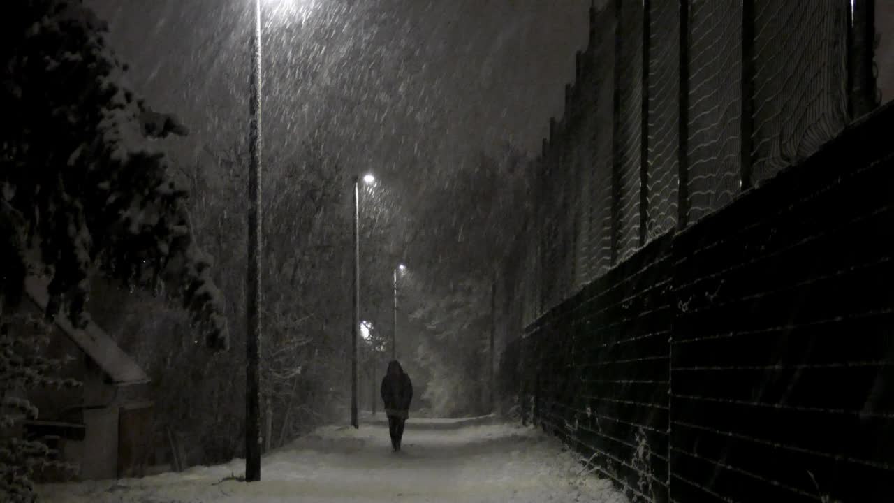 晚上的大雪视频素材