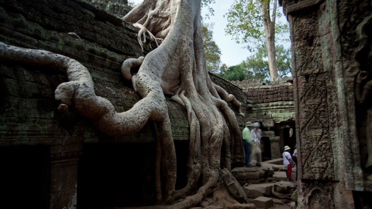 WS TS TL游客探索柬埔寨的Ta Prohm / Siem Reap视频素材