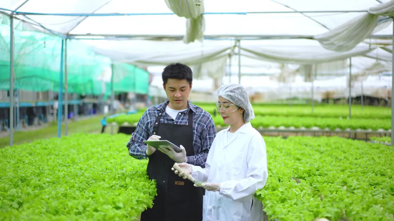 亚洲女性科学家和亚洲男性农民一起工作，在温室实验中检查一种有机蔬菜的水培实验结果。视频素材