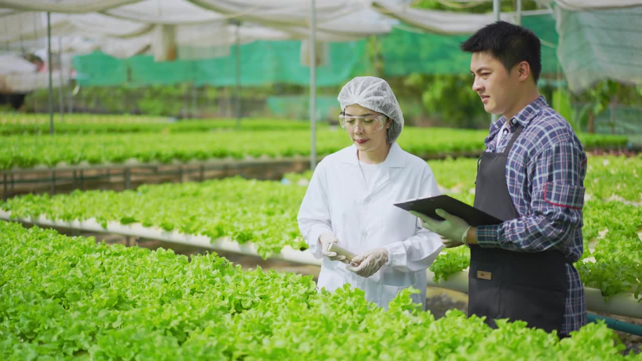 亚洲女性科学家和亚洲男性农民一起工作，在温室实验中检查一种有机蔬菜的水培实验结果。视频素材