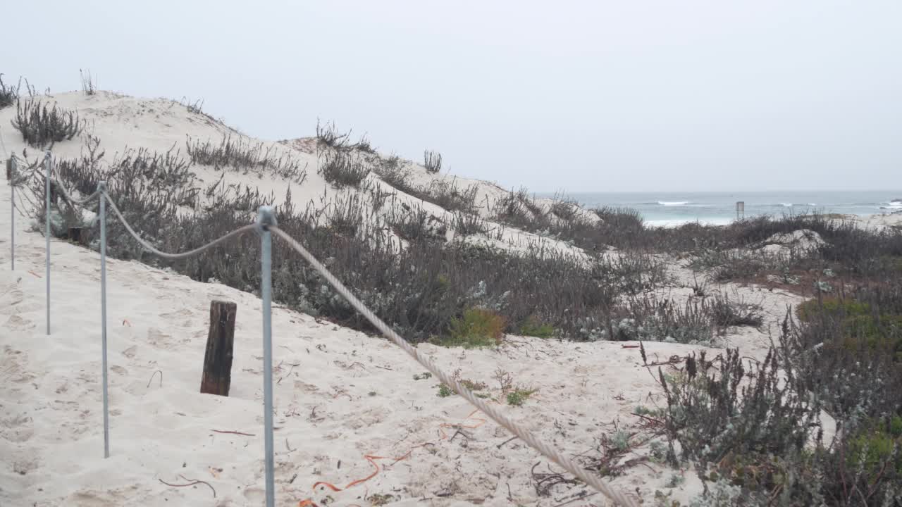 海洋海滩沙丘，加利福尼亚雾蒙蒙的海岸。多雾多雨的天气，寒冷的大海。视频素材