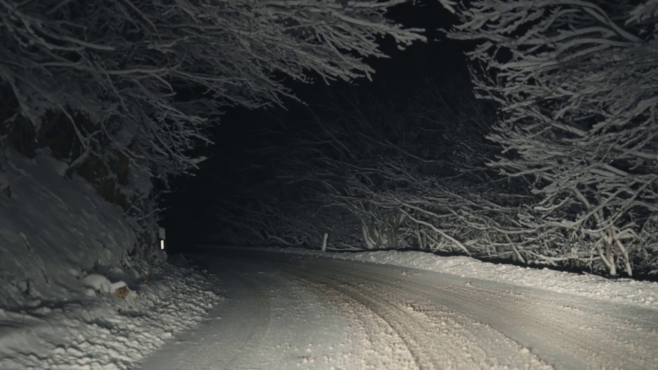 从汽车的前窗看，行驶在雪地里湿滑的夜间森林道路上。冬天的季节。视频素材