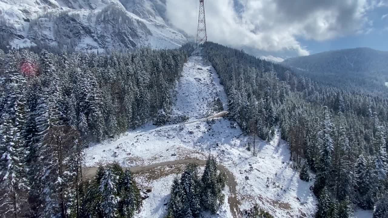 冰雪覆盖的森林视频素材