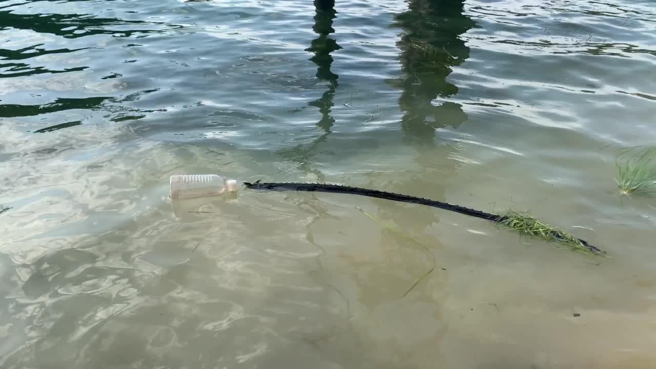 湖里的废塑料瓶垃圾。视频素材