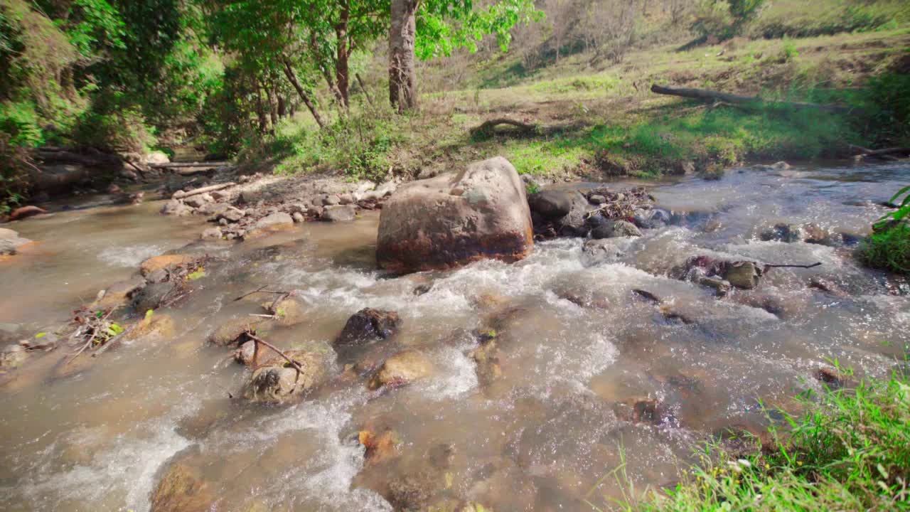 溪水流淌在山上的小河里视频素材