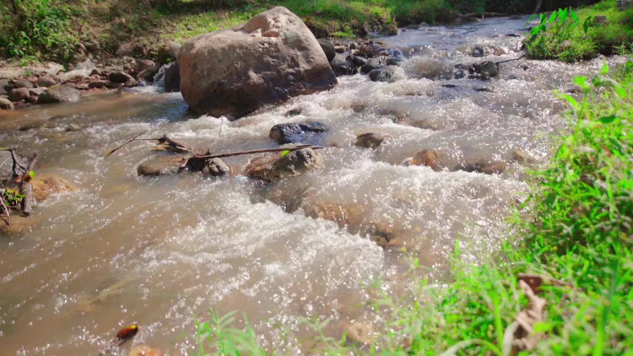 溪水流淌在山上的小河里视频素材