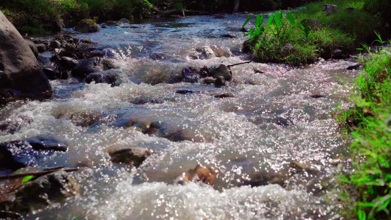 溪水流淌在山上的小河里视频素材