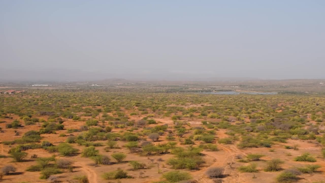 印度布杰的贫瘠景观，库奇，夏季。干热气候的库奇旱地。沙漠景观视频素材