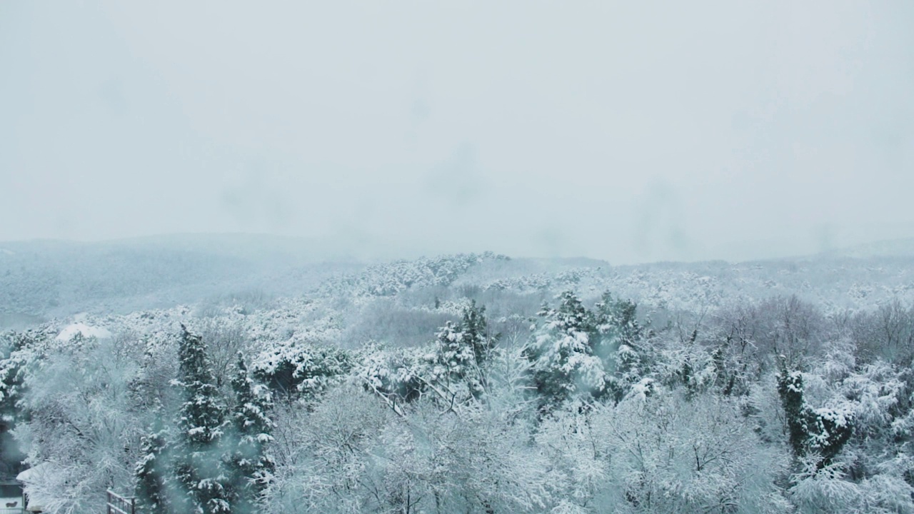 雪林透过冰封的窗户视频下载