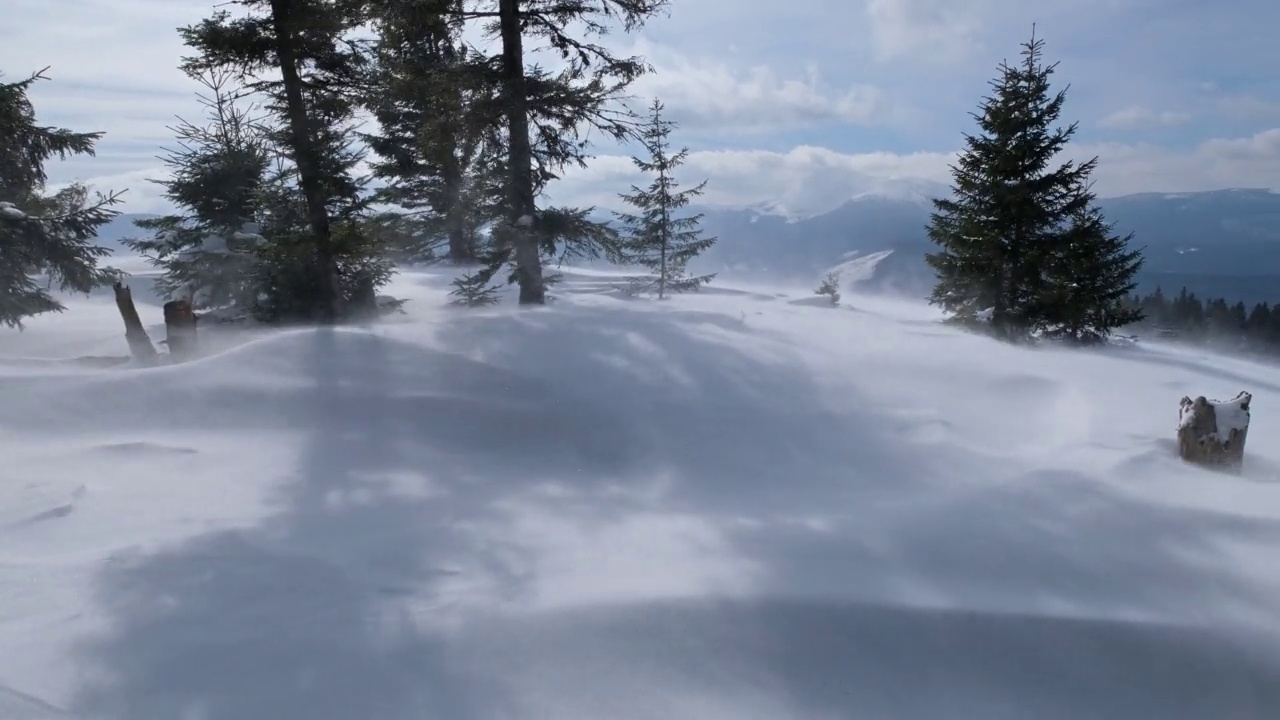 冬季喀尔巴阡山脉暴风雪肆虐，有的摇摇不平。视频素材