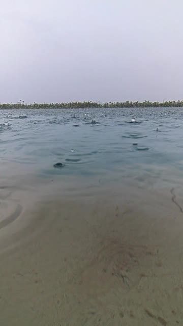 雨滴视频素材