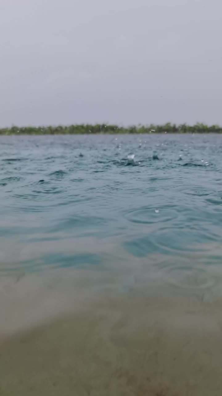 雨滴视频素材