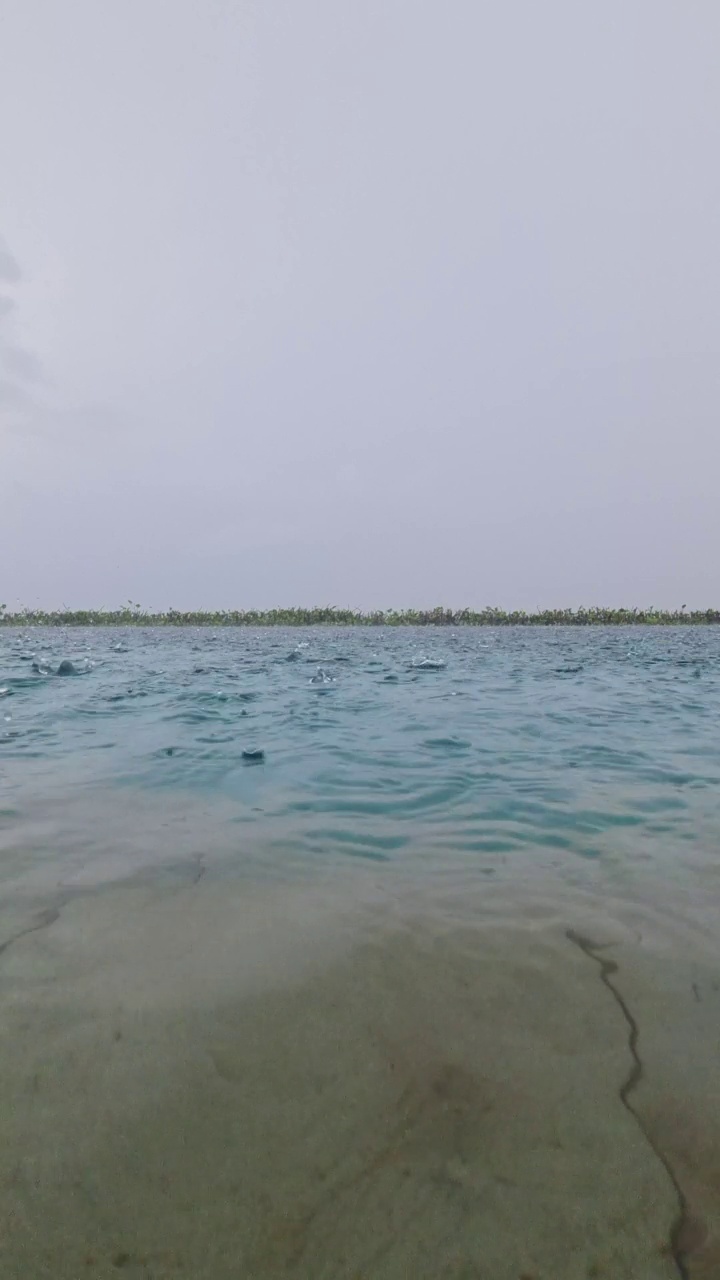 雨滴视频素材