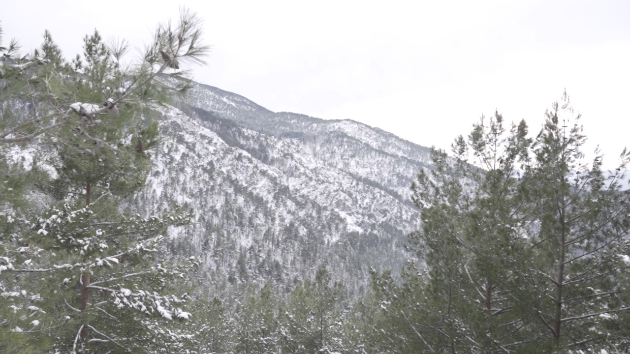 的雪山视频下载