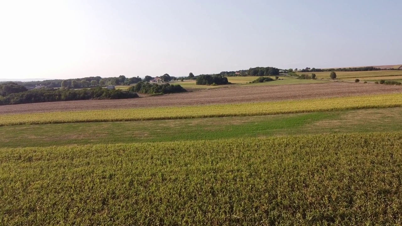 田野上的落日视频素材