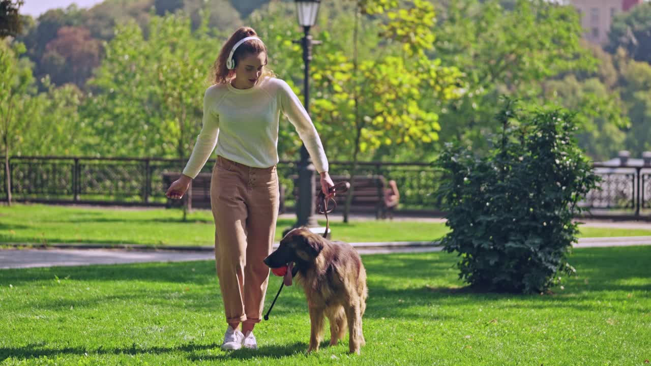 积极美丽的女人听音乐和散步德国牧羊犬视频素材