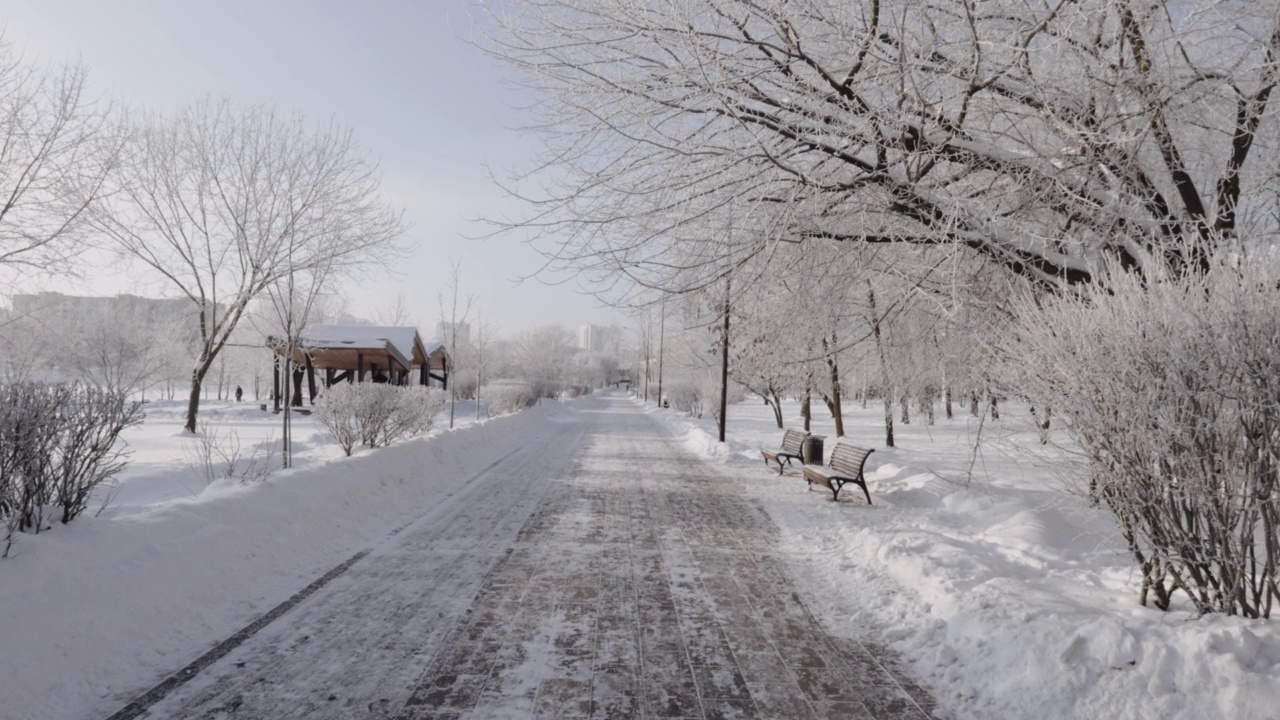 城市公园里白雪覆盖的小路视频素材