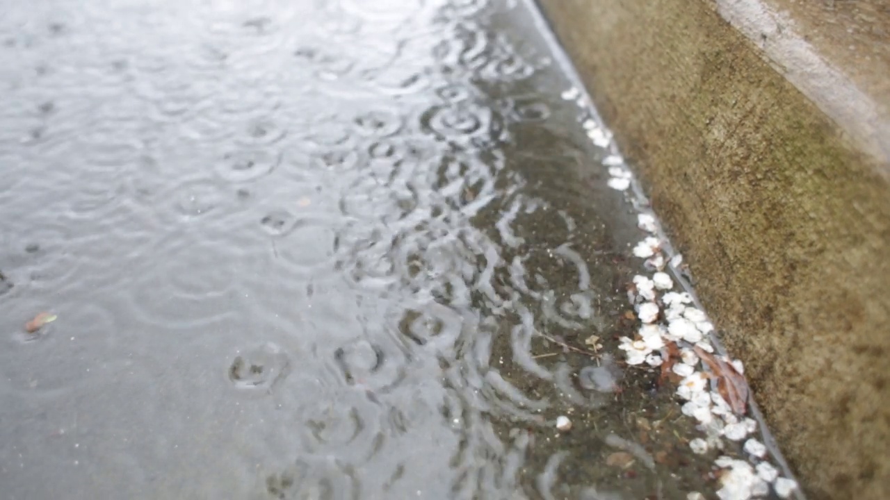 沥青路上的雨滴视频素材