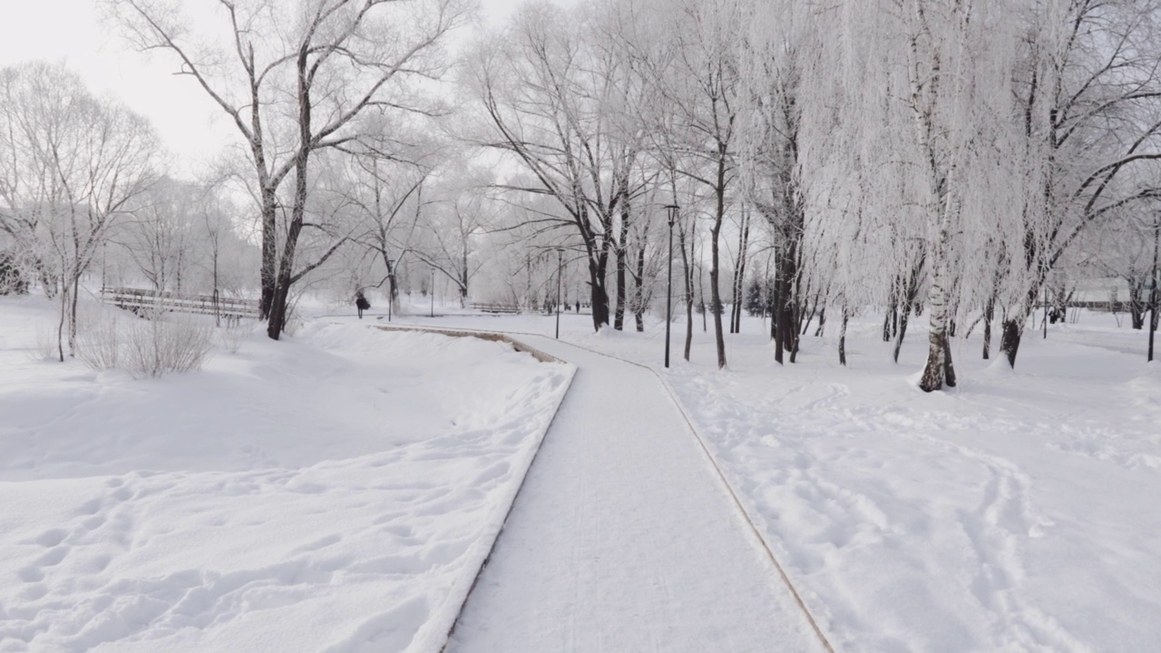 城市公园里白雪覆盖的小路视频素材