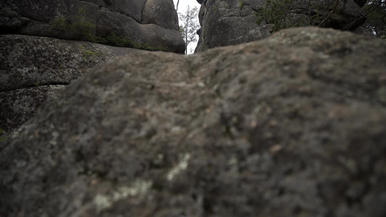 荒野景观森林与松树和苔藓的岩石野生风景。古老破碎的岩石上有树木，树根和土壤。覆盖着苔藓的山林岩石。视频素材