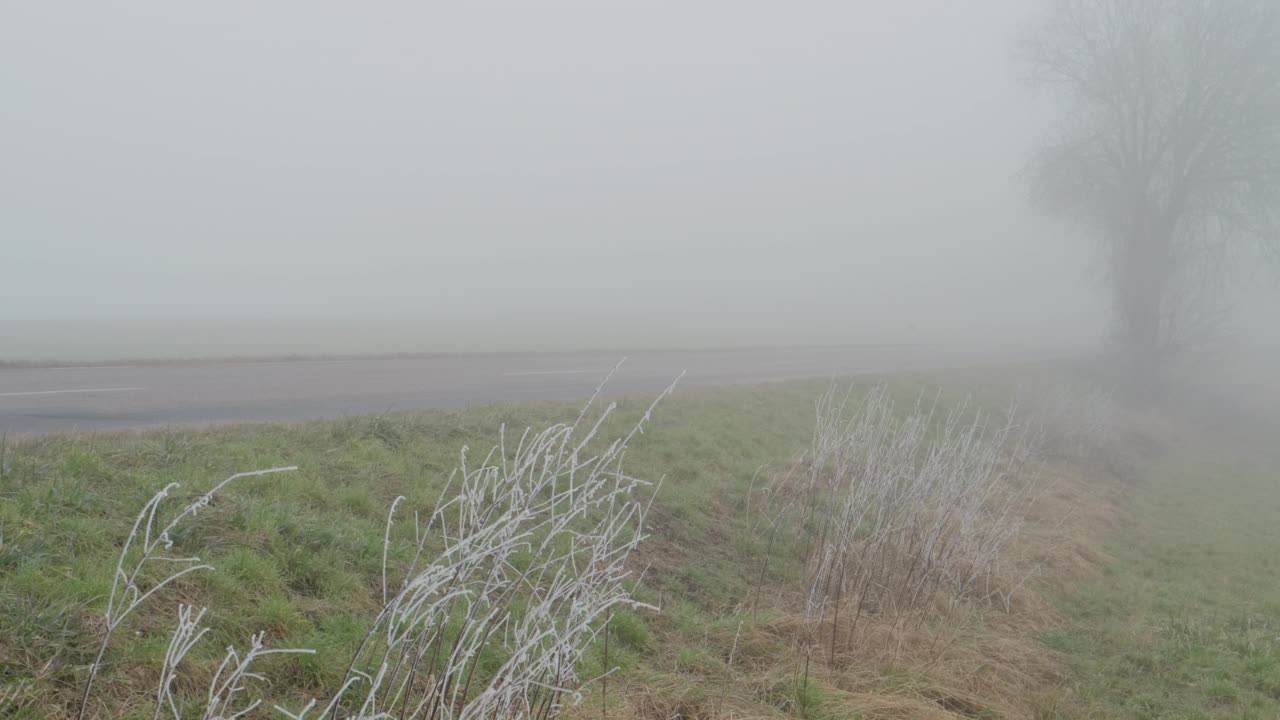 在雾蒙蒙的乡村公路上，汽车开着大灯，路边枯黄的草梗和光秃秃的树上结着白霜视频素材