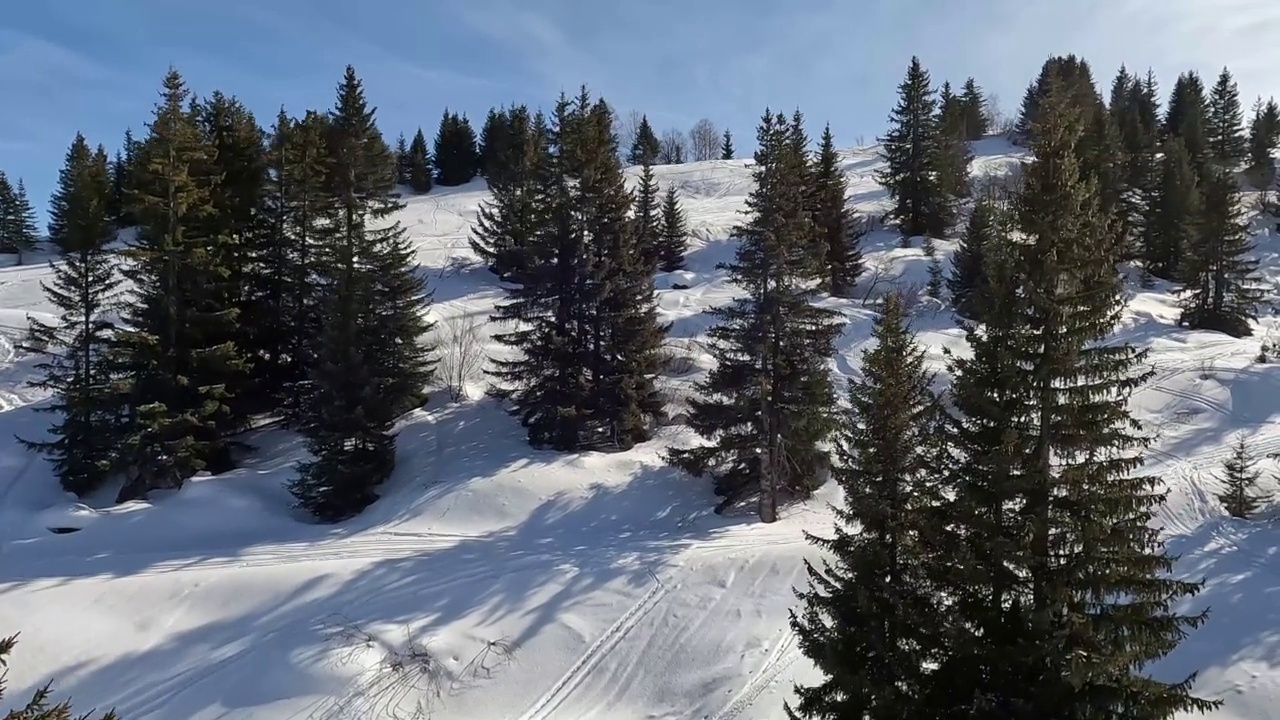 白雪覆盖的山与松树在冬天视频素材