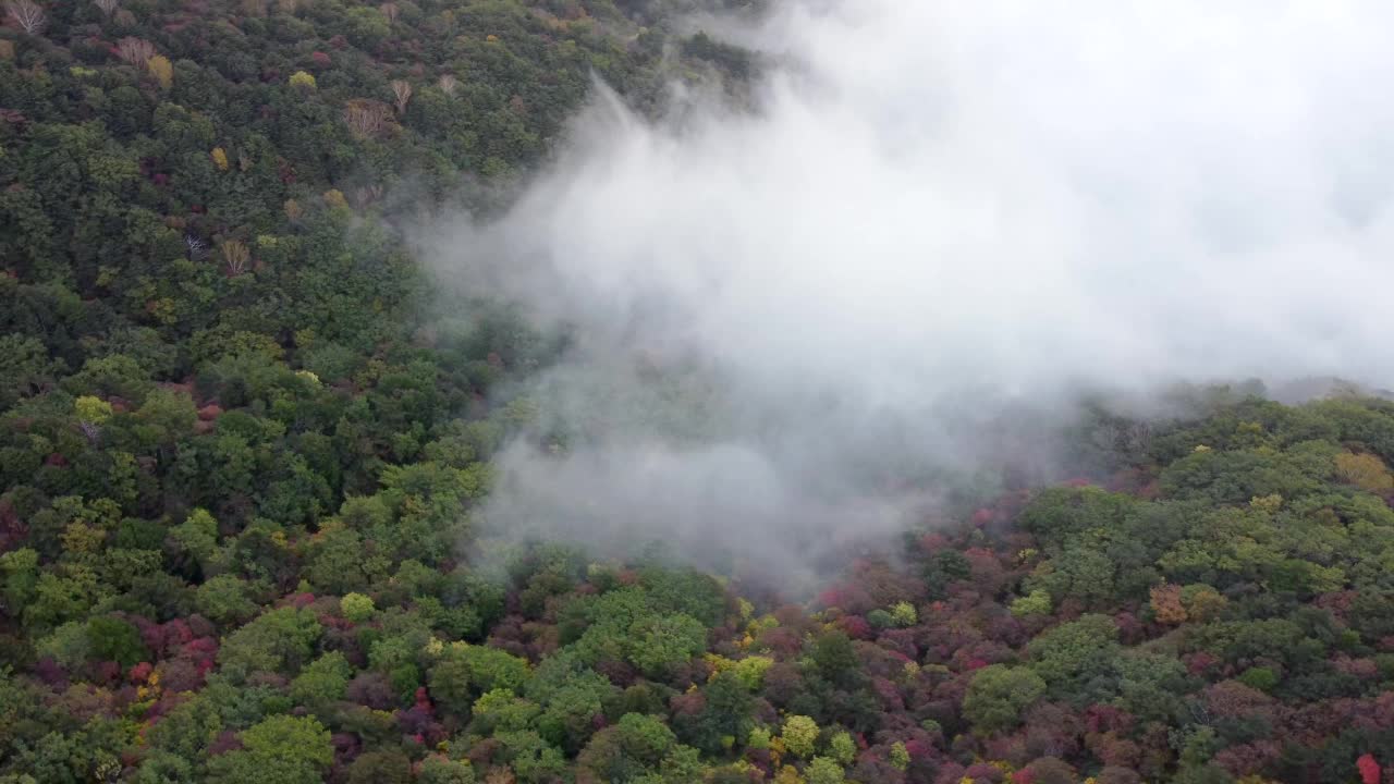 日本的翻山越岭——秋季视频素材