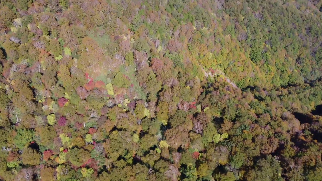 日本山区——秋季视频下载