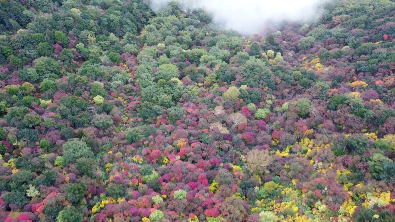 日本山区——秋季视频素材