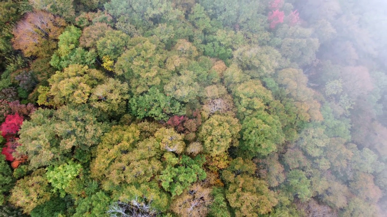 日本山区——秋季视频素材