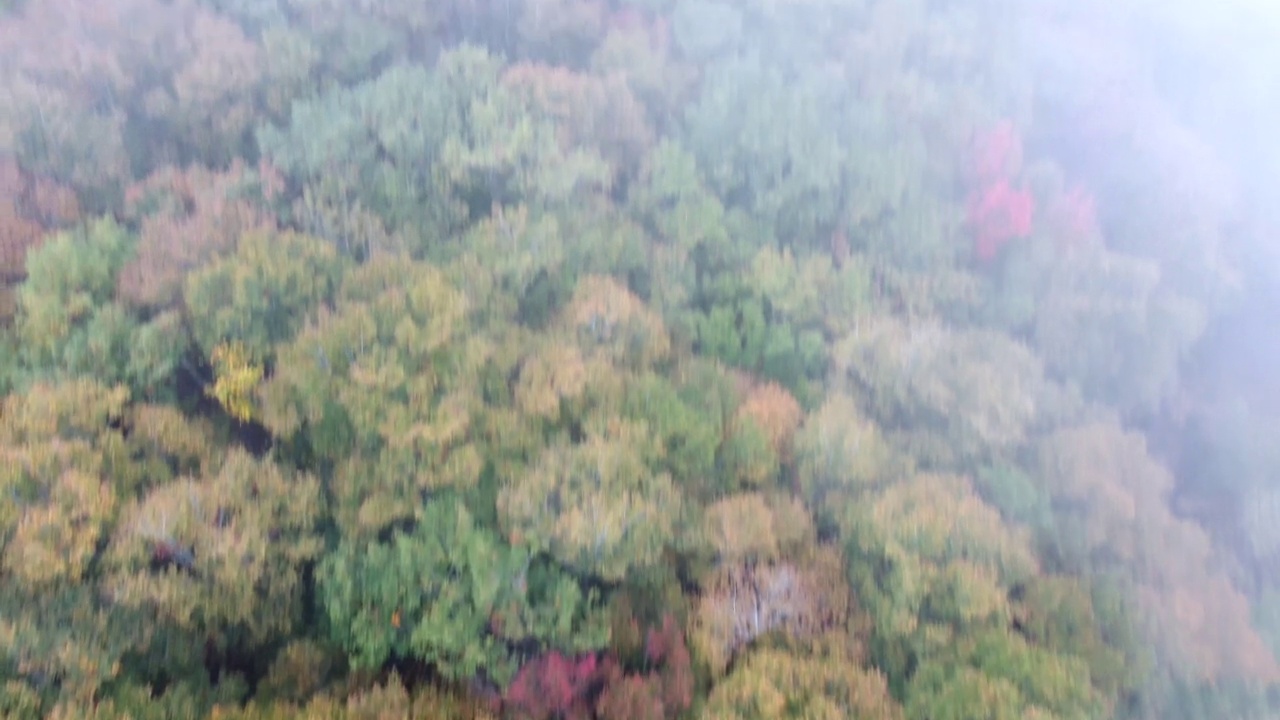 日本山区——秋季视频素材