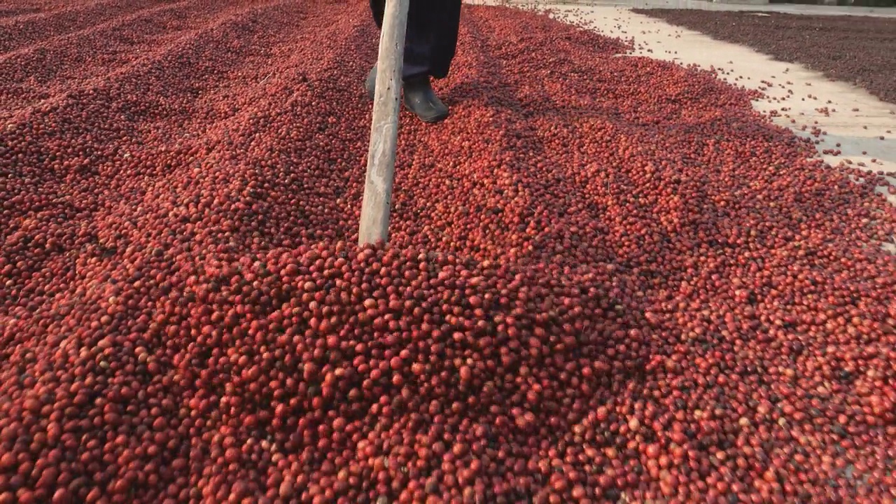 飞越美丽的云景。美丽的时间流逝，白色的蓬松的云在晴朗的蓝天上轻轻地移动。从驾驶舱直接观察视频下载