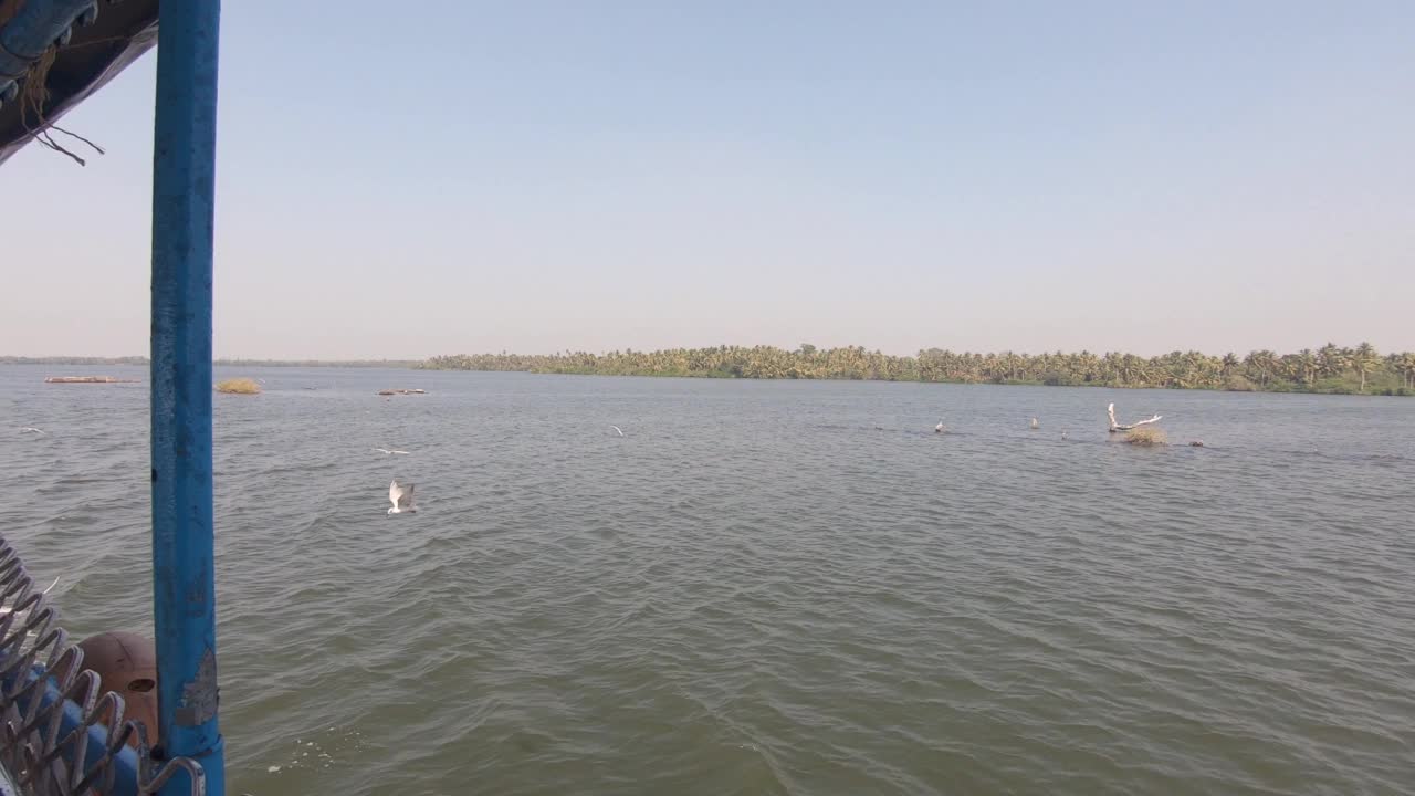 船驶过河流小岛，后面跟着海鸥，Alappuzha。印度视频素材