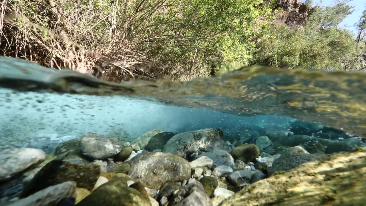 裂射河流水下水源泉时淡水视频素材