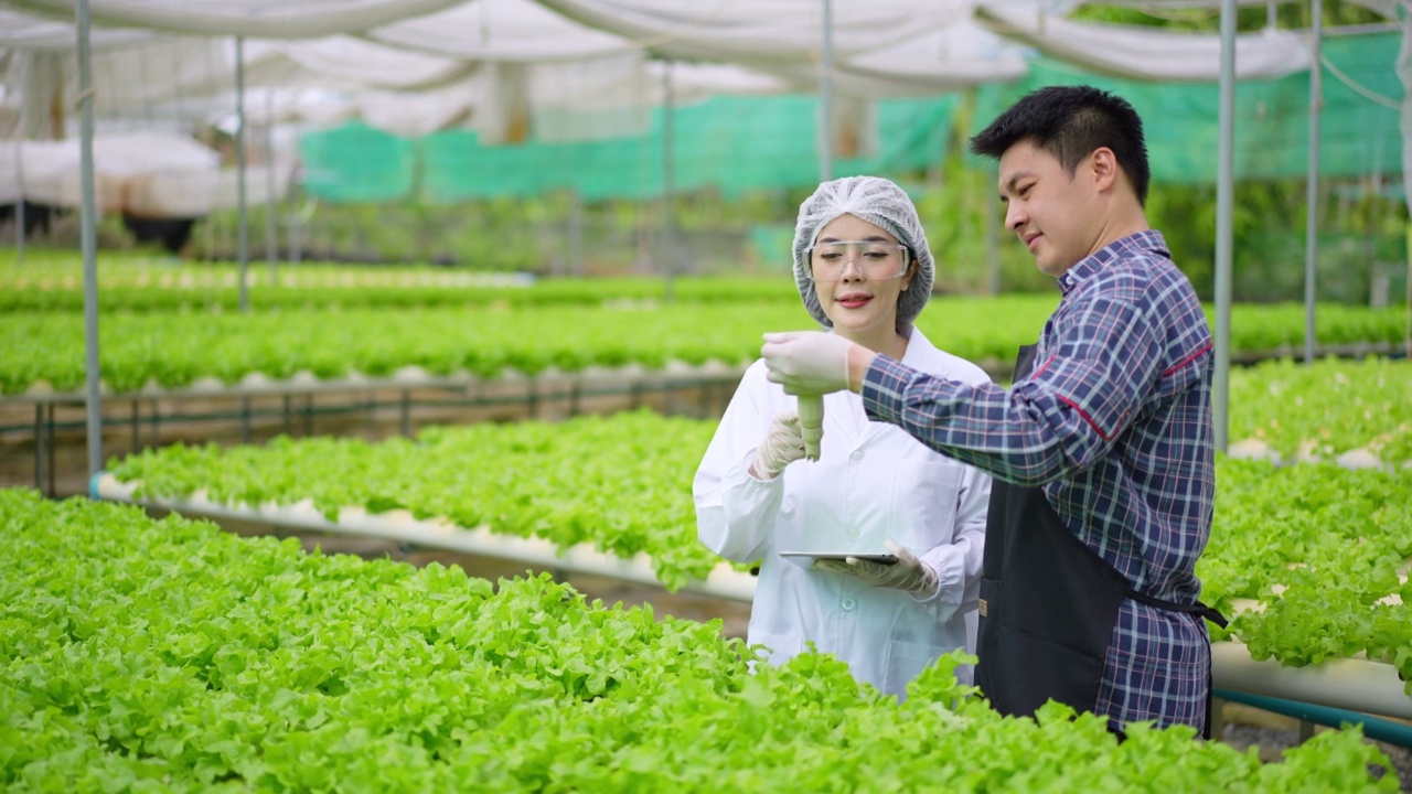 亚洲女性科学家和亚洲男性农民一起工作，检查有机蔬菜实验的结果，在温室实验的水培植物。视频素材