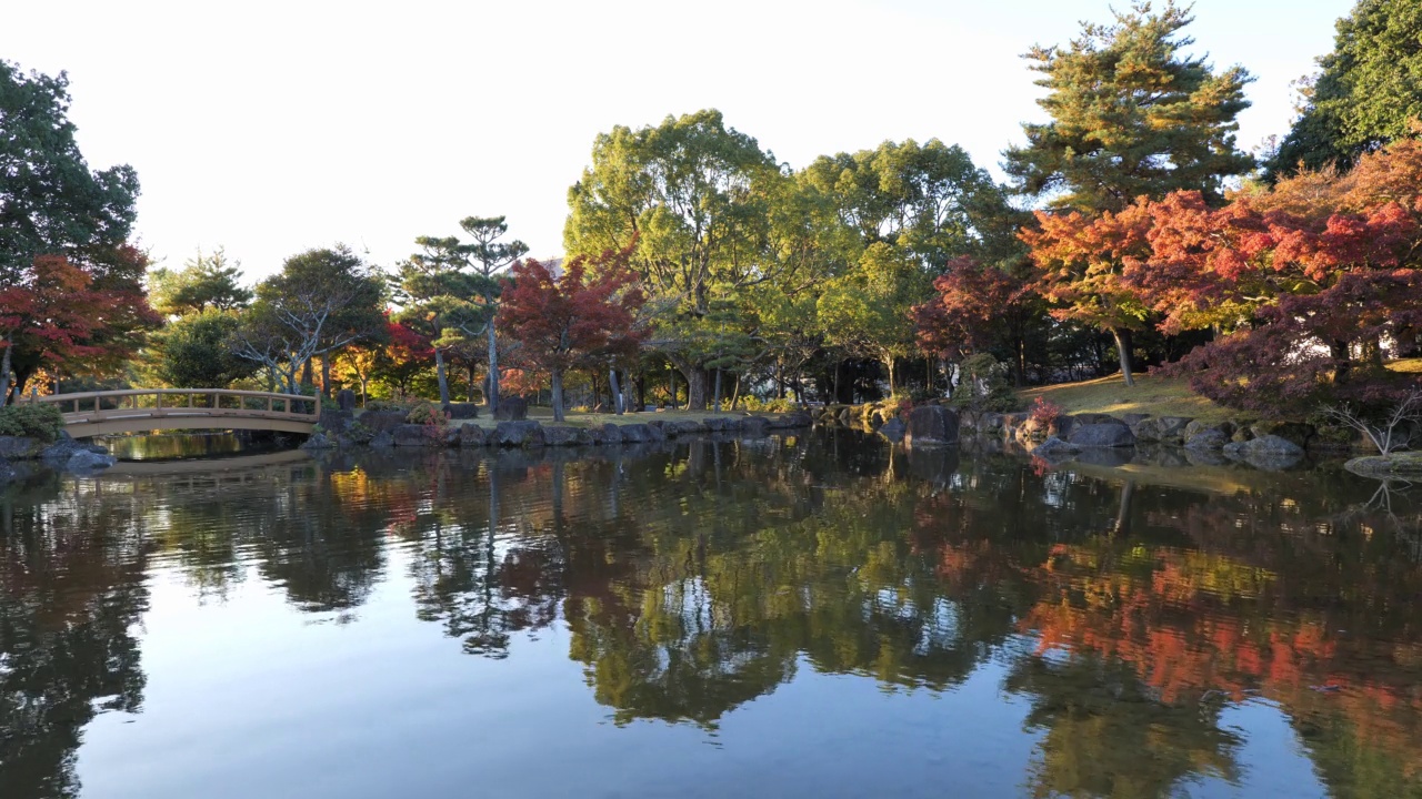 2020年11月15日，日本，黄昏的日本花园视频素材