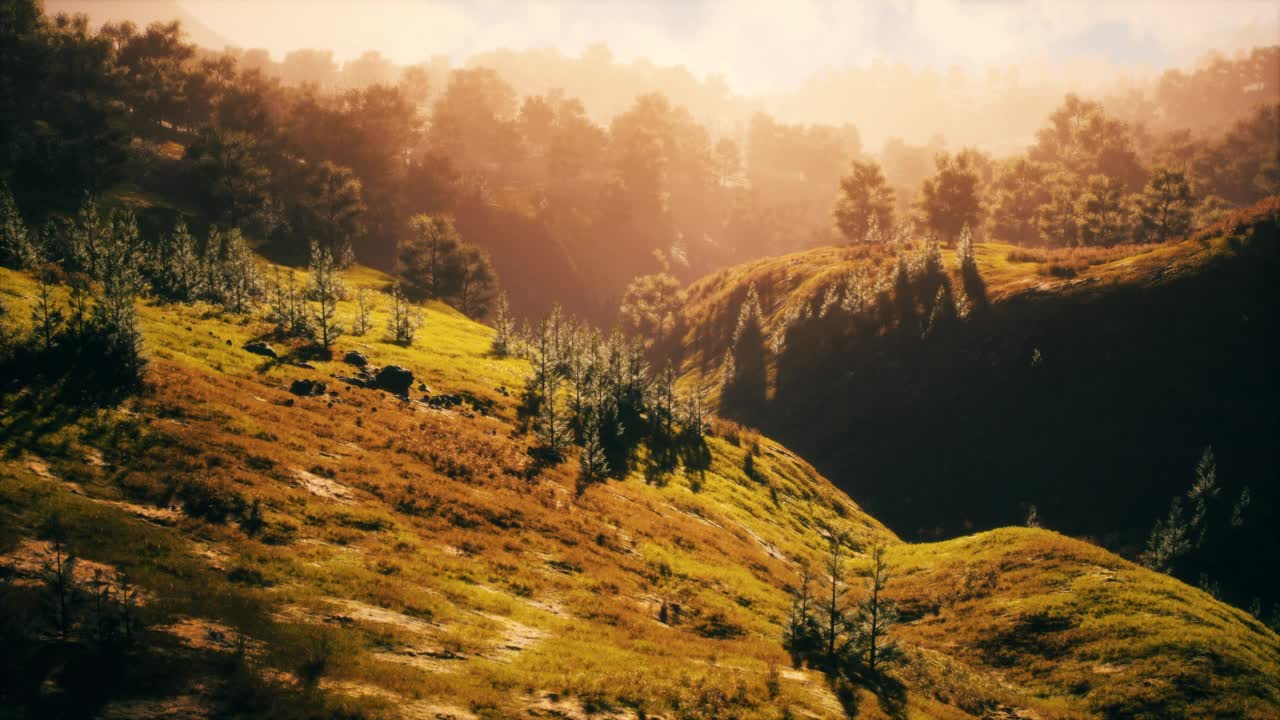 山中的夕阳，绿草绿树视频素材