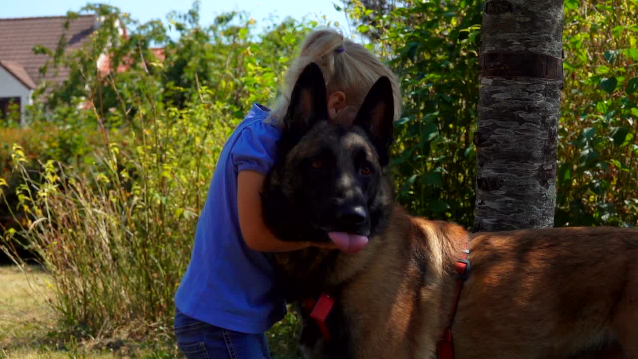 金发小女孩在户外抱着一只比利时牧羊犬视频素材