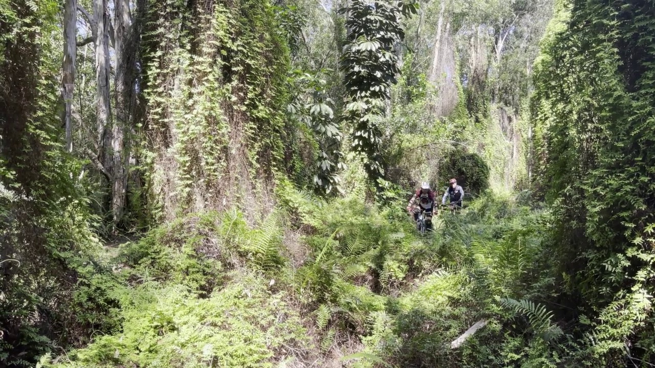 人们在森林里骑山地车视频素材