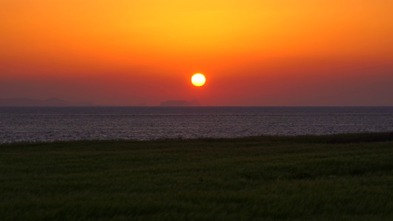 大麦田的夕阳/济州岛，韩国视频素材