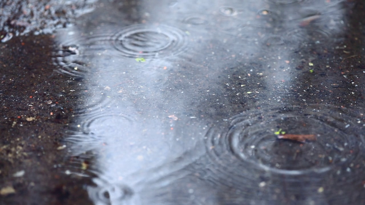 水坑上的雨滴视频素材