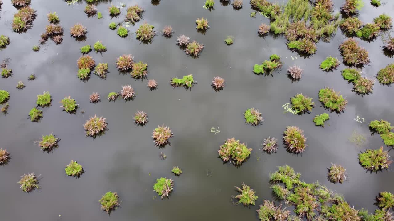 鸟瞰图倒影的湖在湿地视频素材